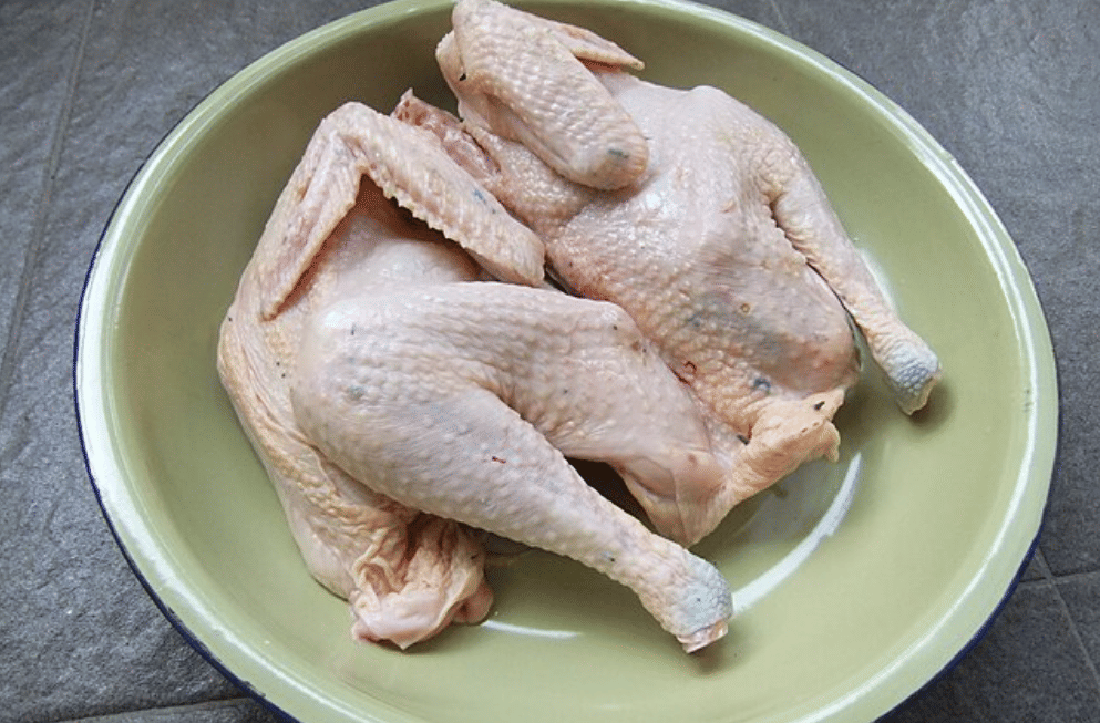 ilustrasi daging ayam kampung