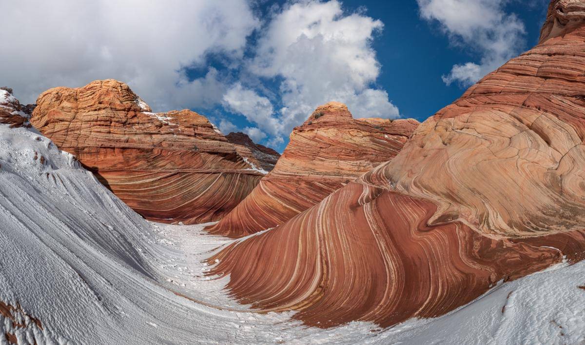 The Wave