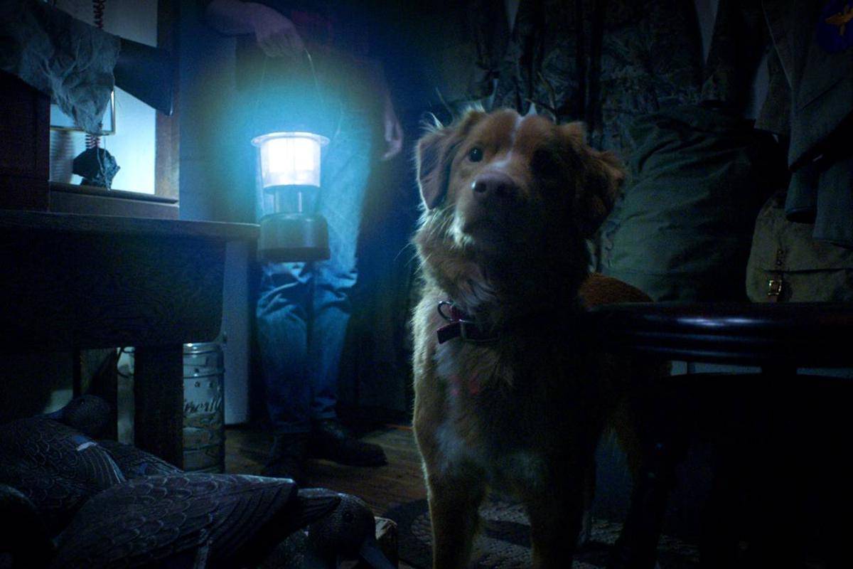 Cuplikan adegan di film Good Boy