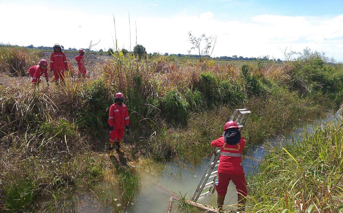 Kebakaran hutan dan lahan (Karhutla) di kawasan Jejawi OKI (Dok: Manggala Agni)