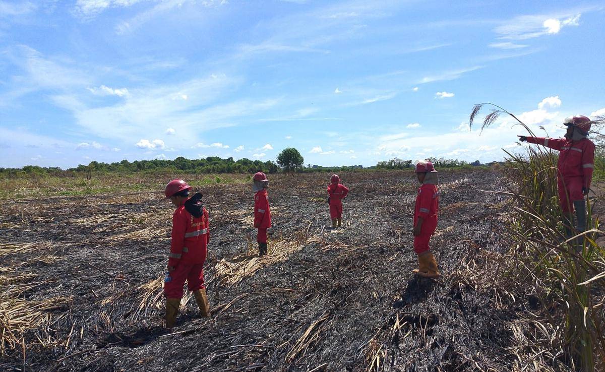 Kebakaran hutan dan lahan (Karhutla) di kawasan Jejawi OKI (Dok: Manggala Agni)