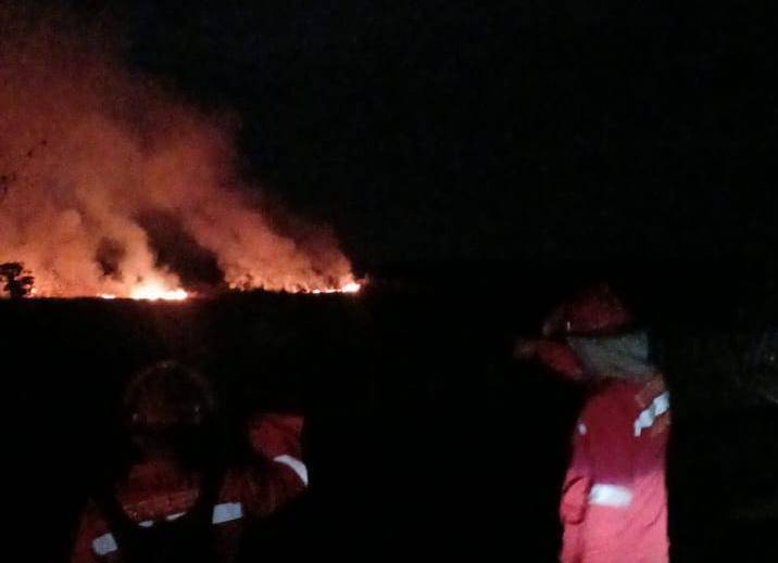 Kebakaran hutan dan lahan (Karhutla) di kawasan Jejawi OKI (Dok: Manggala Agni)