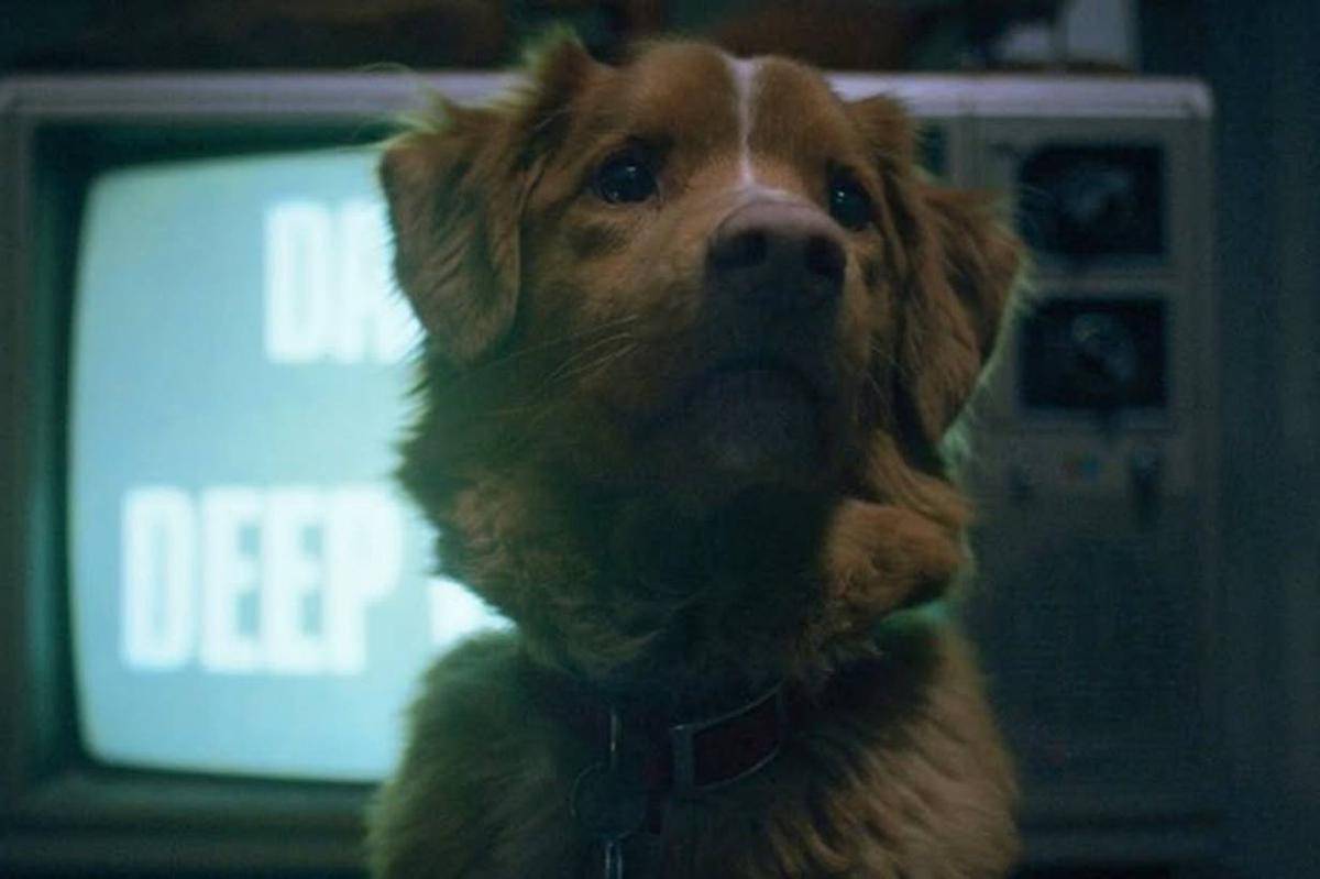 Cuplikan adegan film Good Boy
