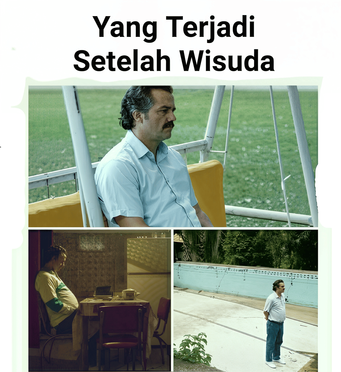 meme wisuda