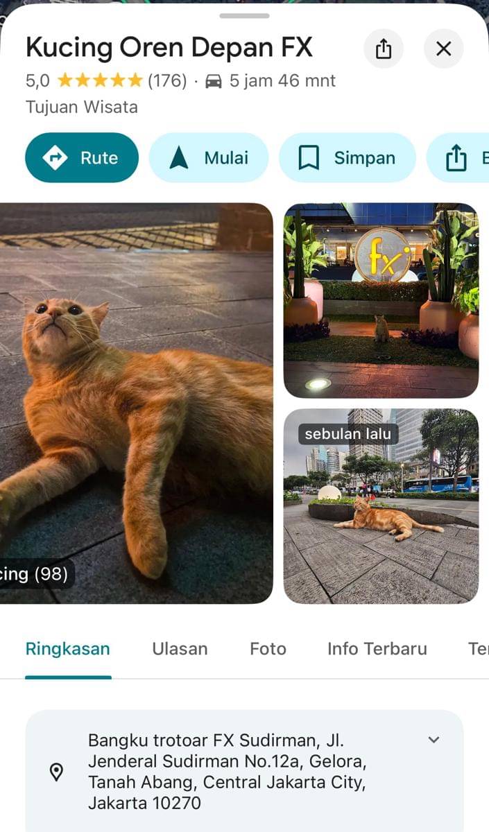 Kucing Oren Depan FX (x.com/txtdrjkt)