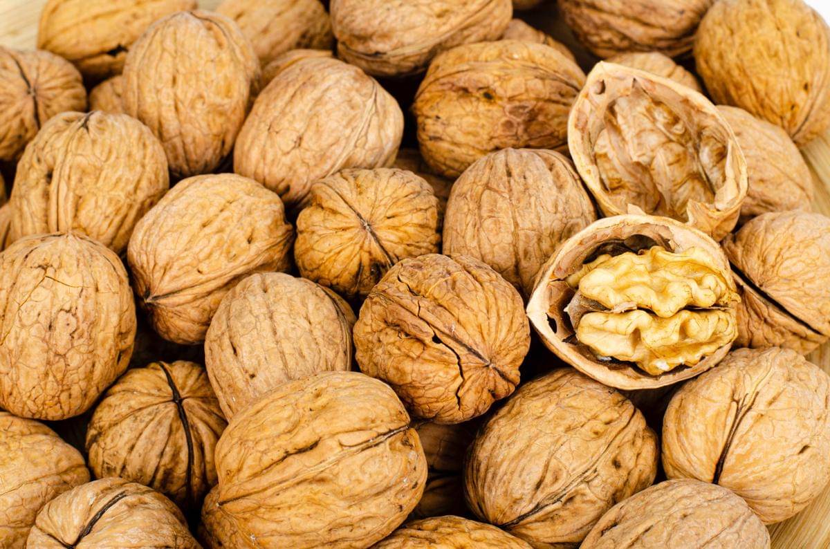 ilustrasi walnuts (vecteezy.com/Irina Kryvasheina)