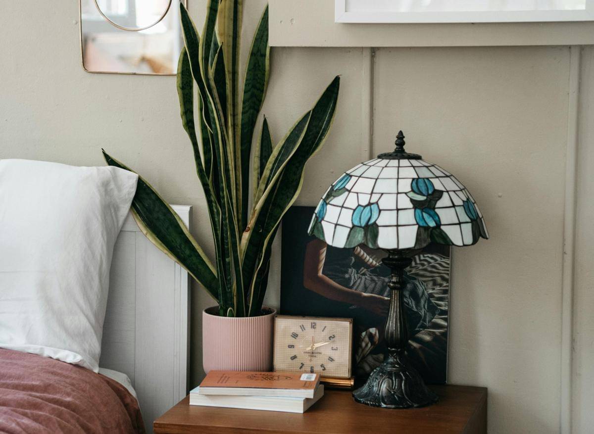 ilustrasi ide dekorasi lidah mertua di kamar tidur (pexels.com/PNW Production)