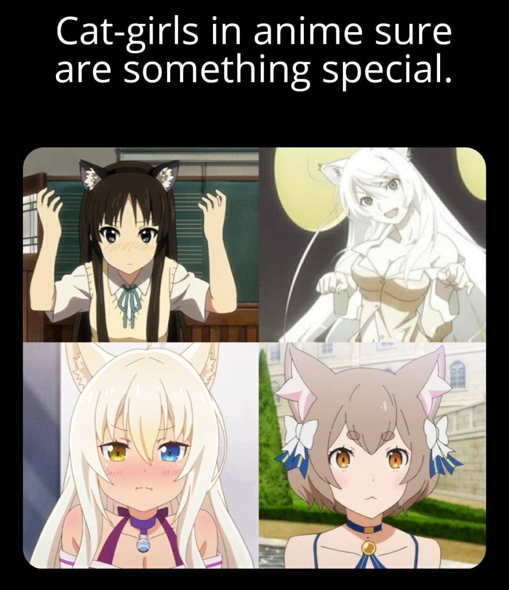 meme karakter anime bertelinga kucing