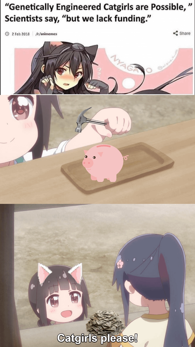 meme karakter anime bertelinga kucing