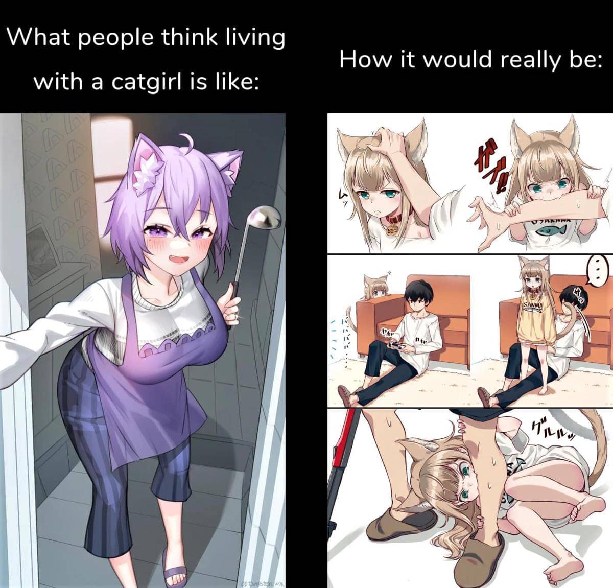 meme karakter anime bertelinga kucing