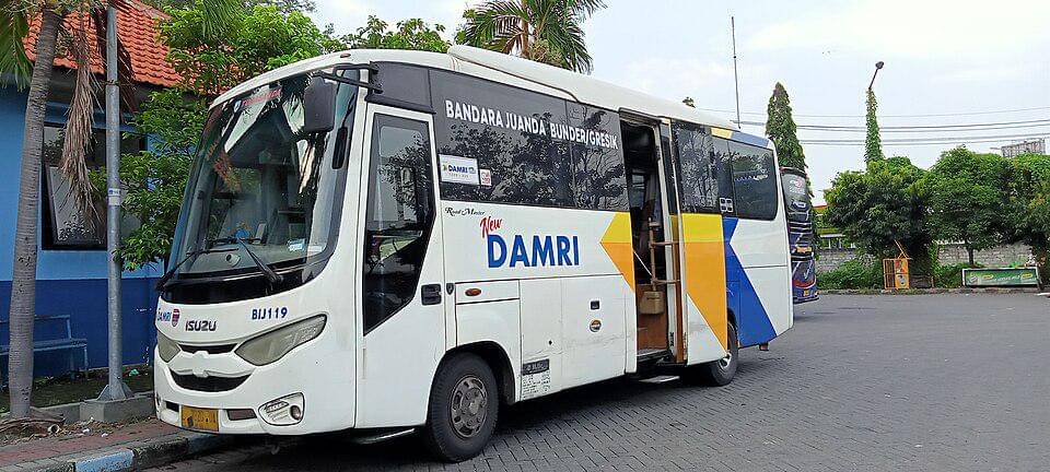 bus DAMRI