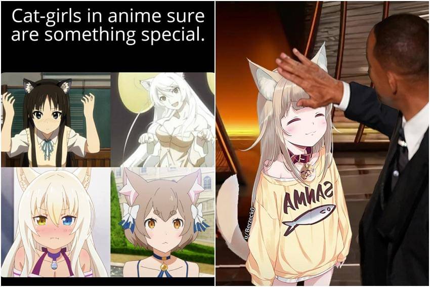 meme karakter anime bertelinga kucing