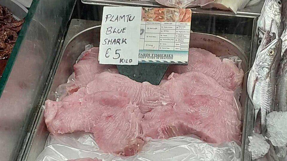 daging hiu biru di pasar