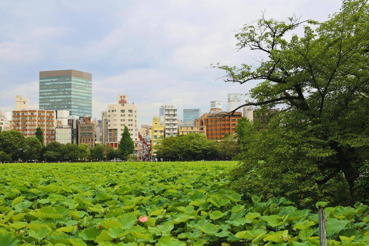 Ueno Park, Tokyo