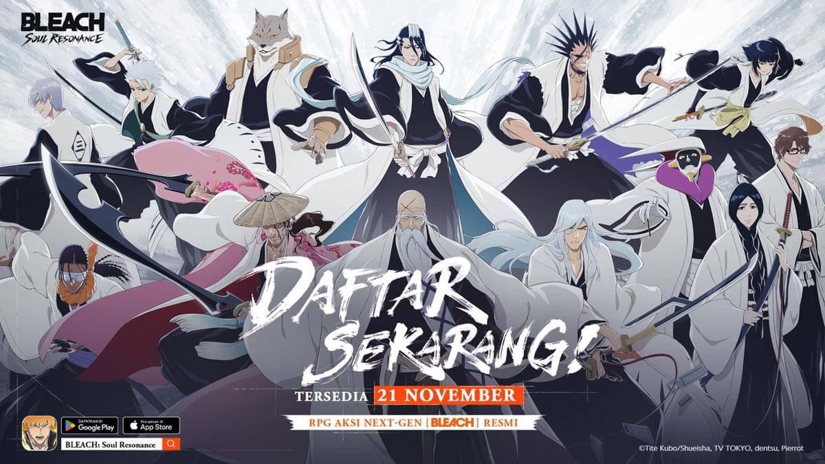 Bleach: Soul Resonance