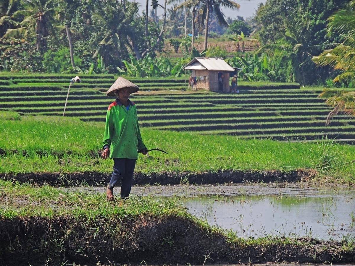 133 Desa di Tabanan Pertahankan Status Desa Mandiri