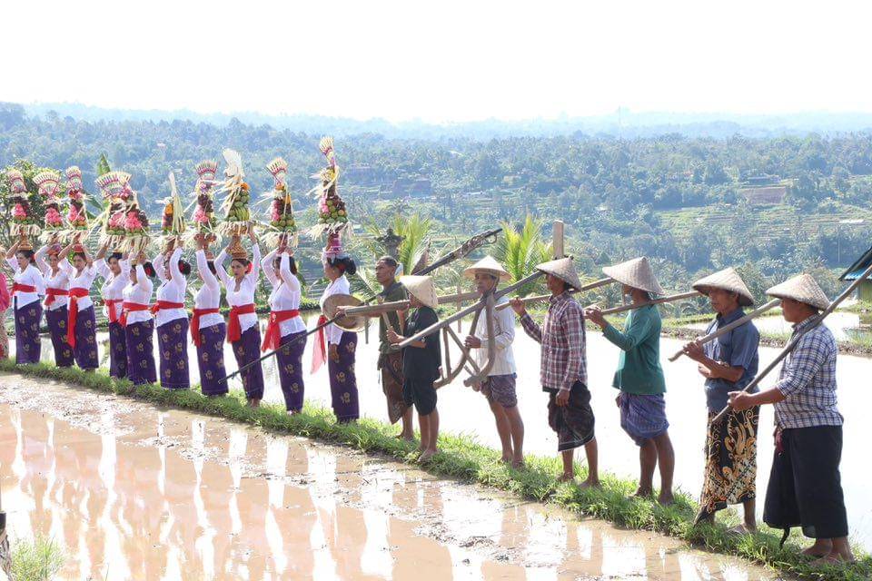 133 Desa di Tabanan Pertahankan Status Desa Mandiri