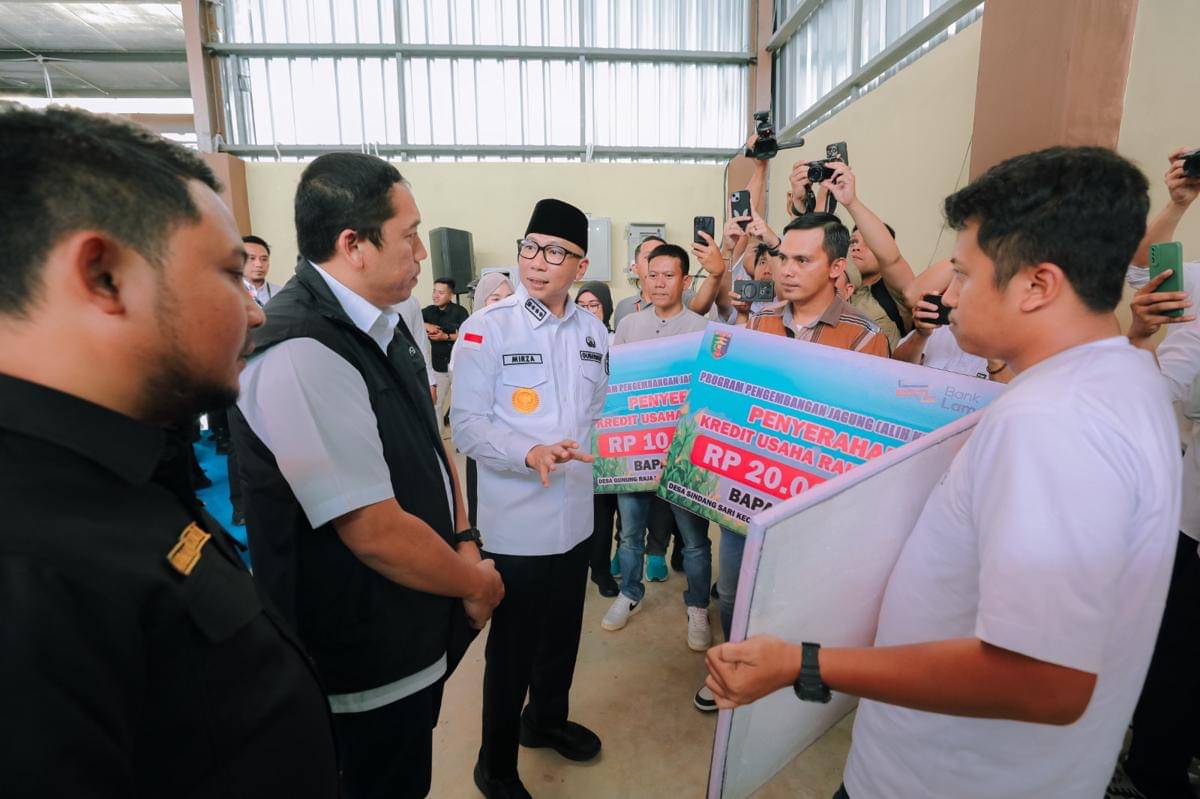 Kegiatan penanaman jagung serentak kuartal IV 2025 di Desa Purwotani, Jati Agung, Lampung Selatan. (Dok. Pemprov Lampung).