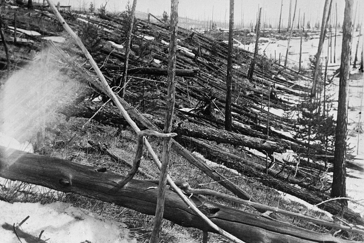 potret pohon-pohon tumbang dan terbakar akibat dampak meteoroid Tunguska (commons.wikimedia.org/Leonid Kulik)