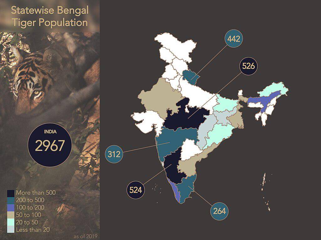 ilustrasi data populasi harimau di India