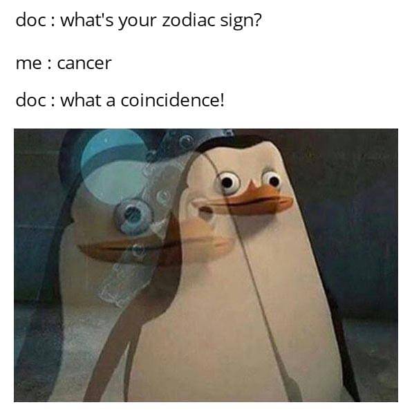 meme kartun tentang zodiak