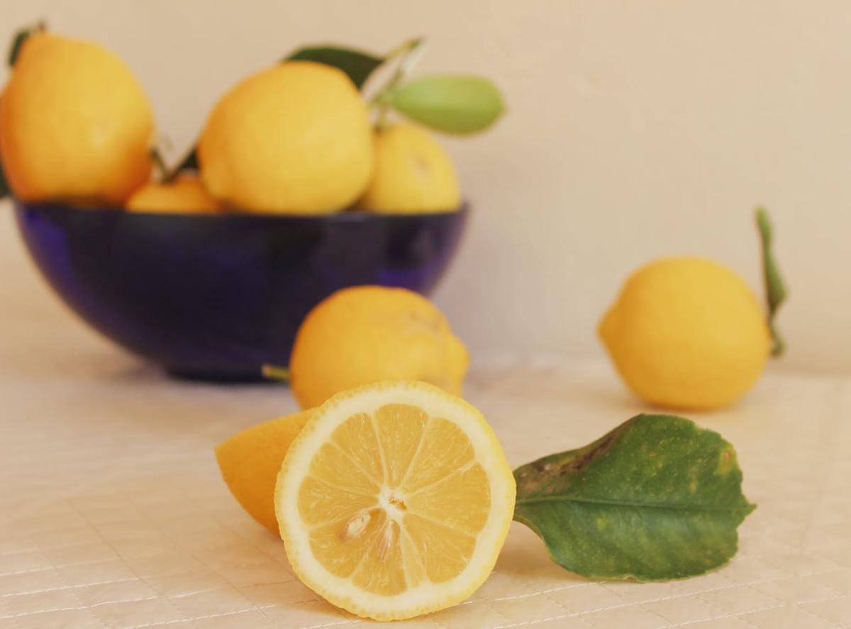 ilustrasi lemon