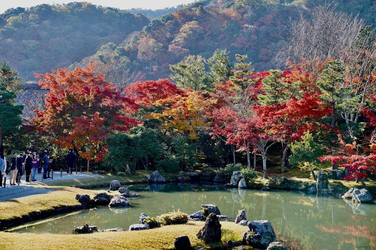 potret Arashiyama, Kyoto, Jepang