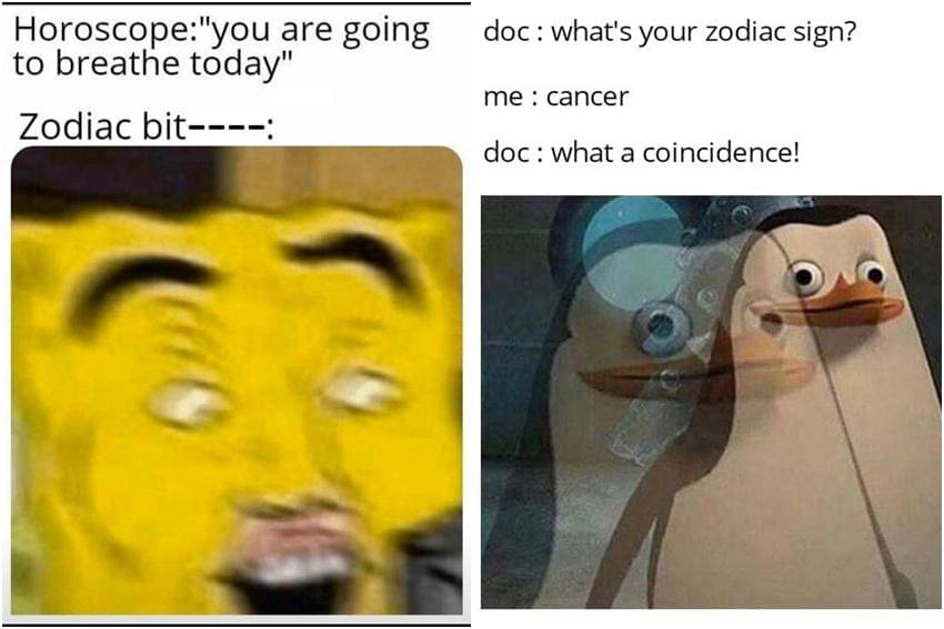 kolase meme kartun tentang zodiak