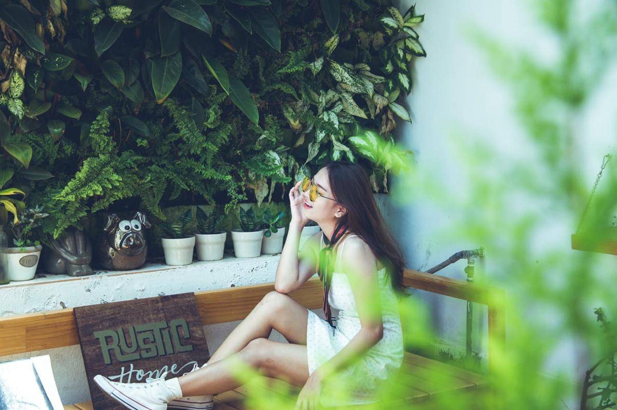 ilustrasi vertical garden