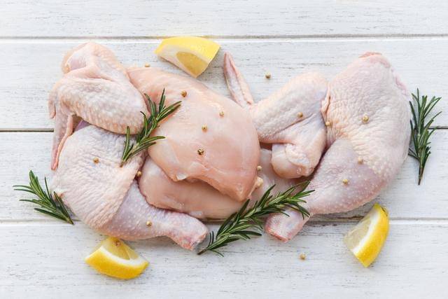 ilustrasi daging ayam