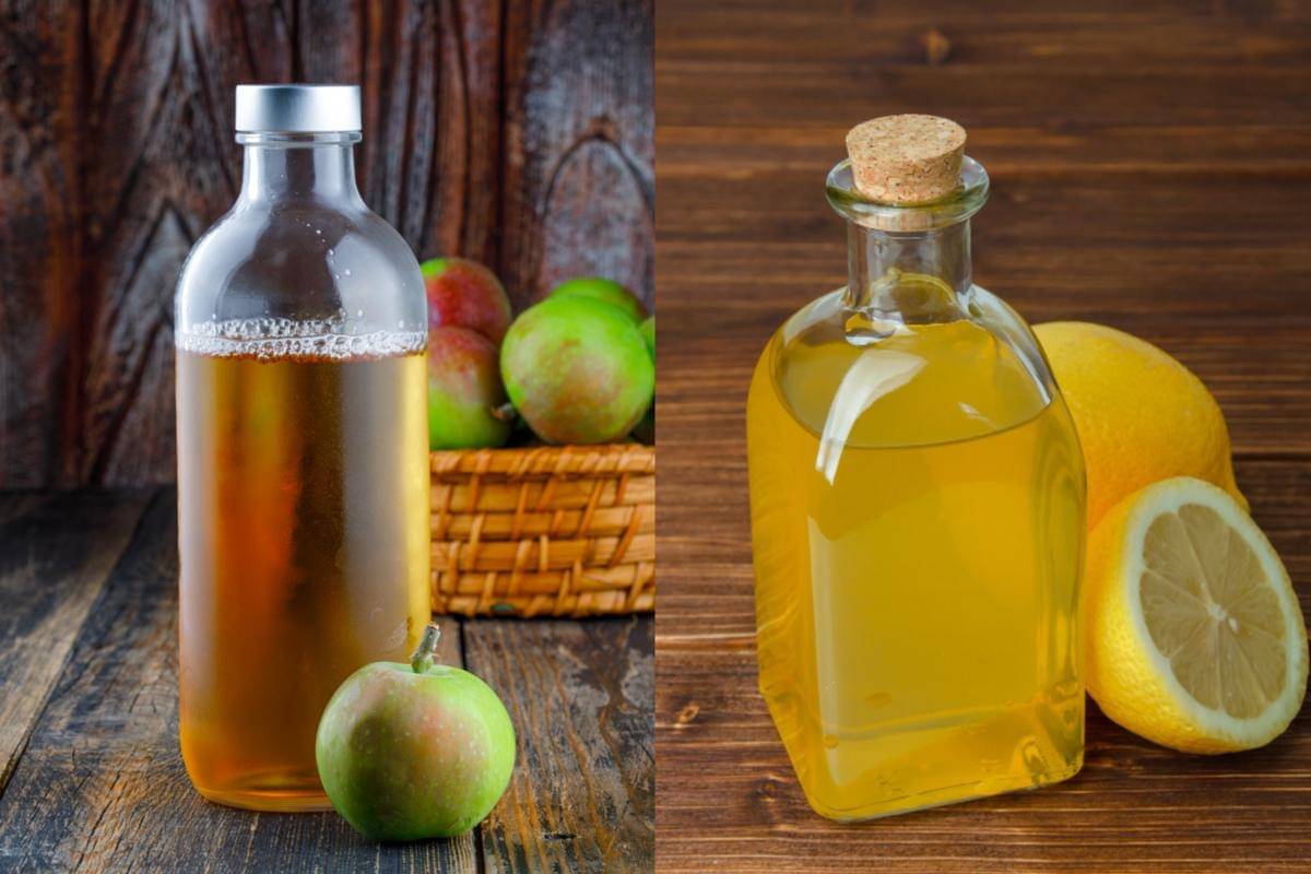 Potret cuka apel dan cuka lemon