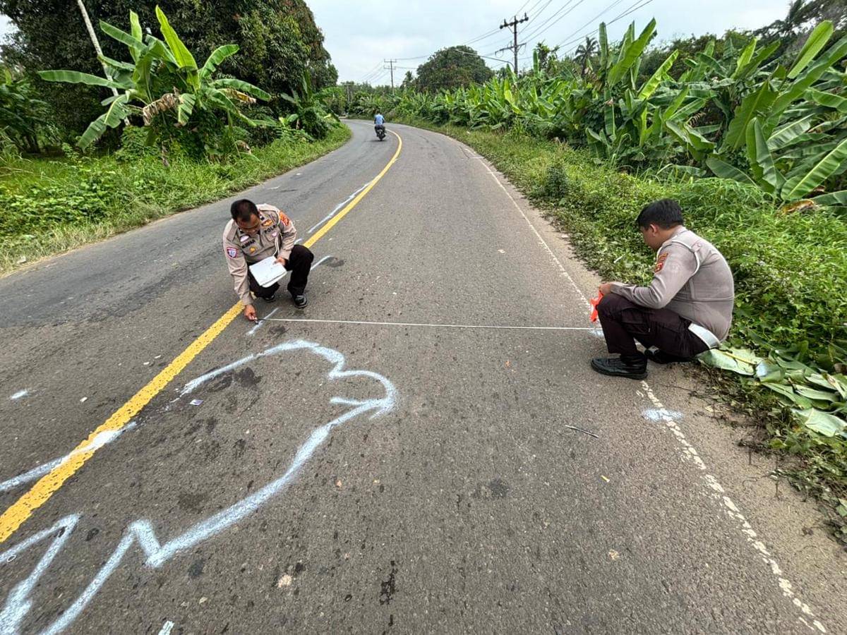 Polisi mengevakuasi korban laka di Jalinteng Sekayu-Lubuk Linggau. (Dok. Sat Lantas Polres Muba)
