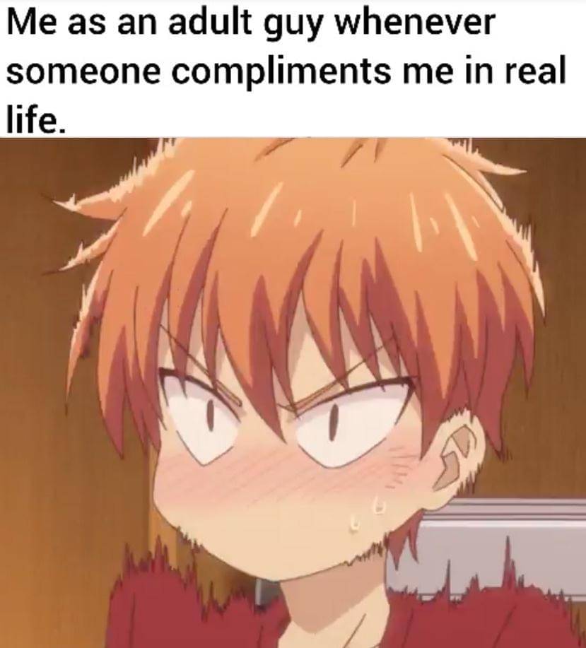 meme anime tentang pujian (reddit.com/user/Holofan4life)