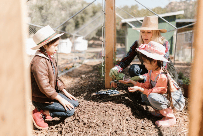 ilustrasi berkebun bersama anak (pexels.com/rdne)