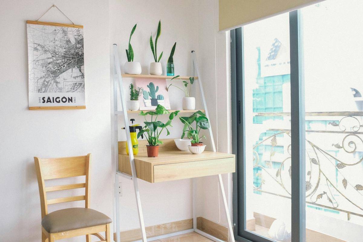 ilustrasi penataan tanaman indoor di rak bertingkat