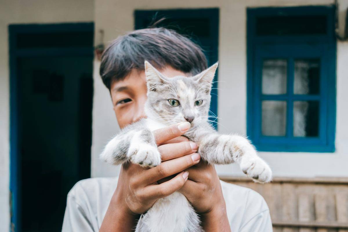 ilustrasi (unsplash.com/@aicd_fix)