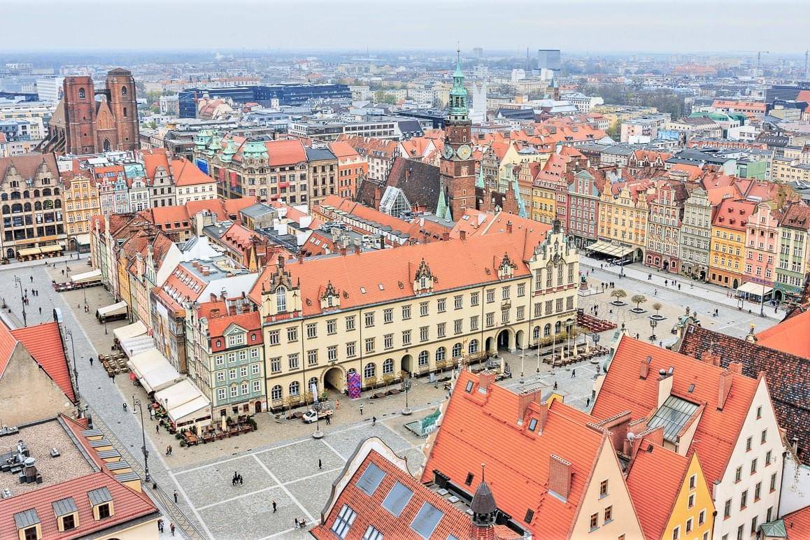 Kota Wroclaw