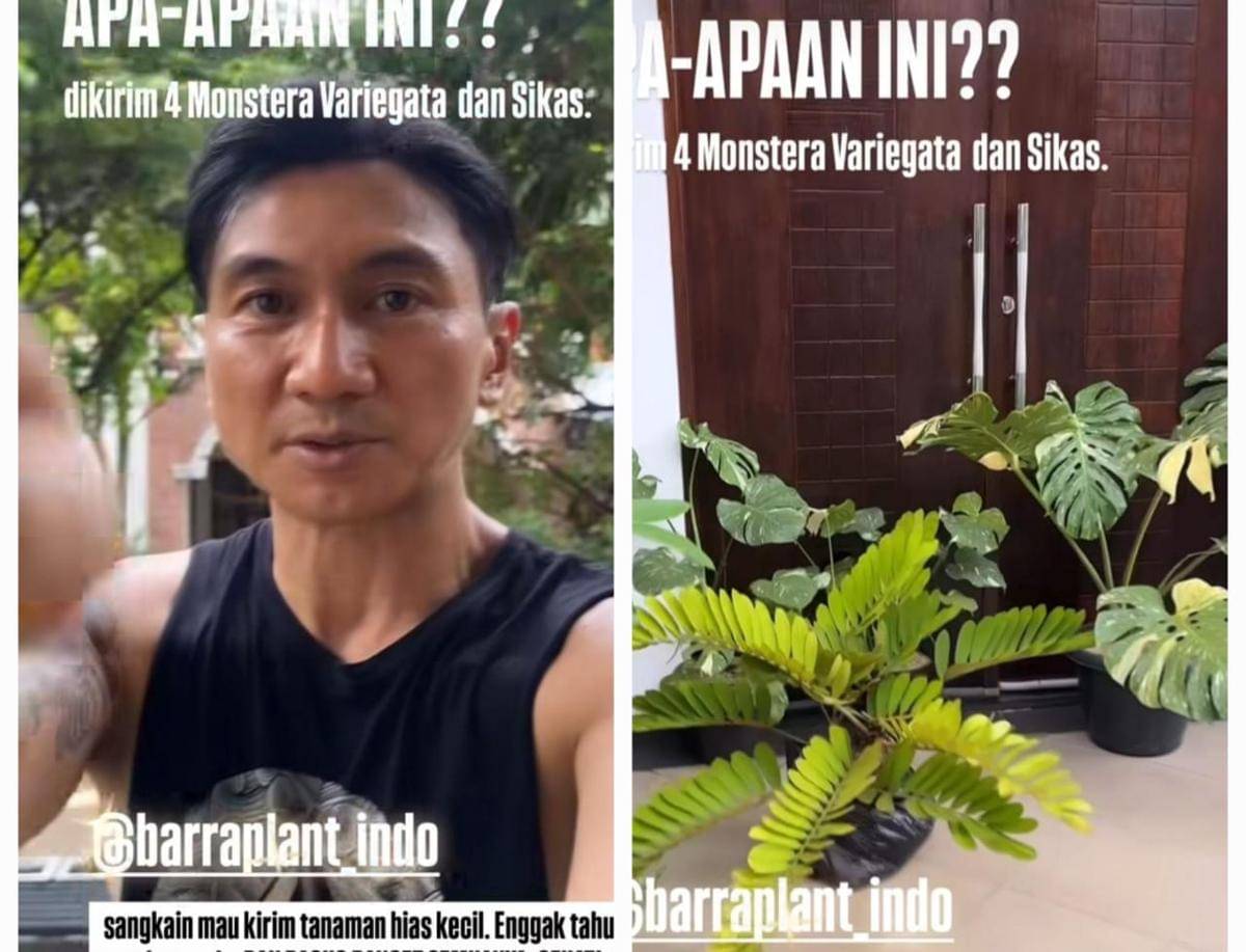 Anji berkebun di halaman rumah