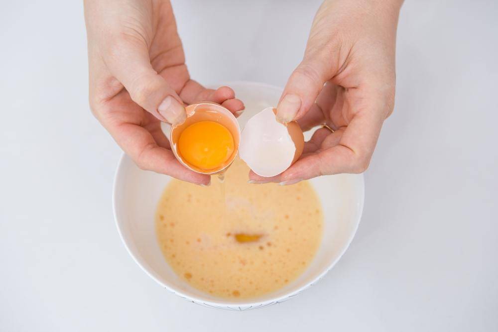 ilustrasi telur