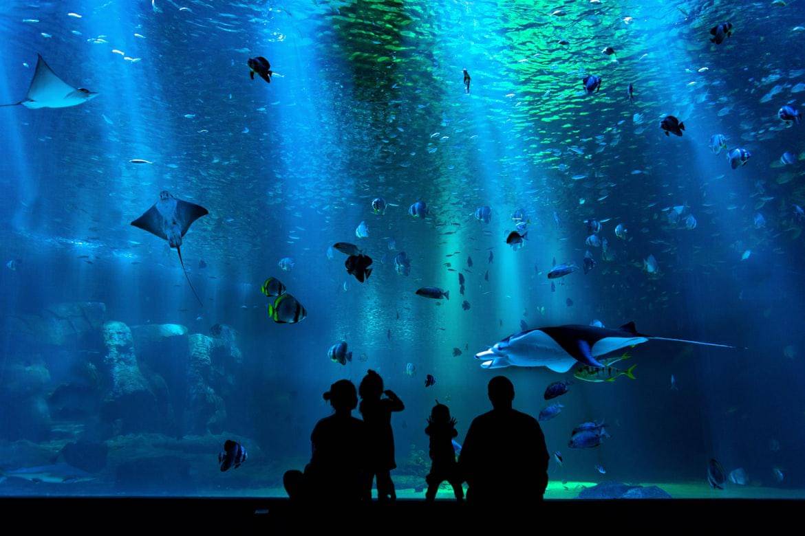 Singapore Oceanarium