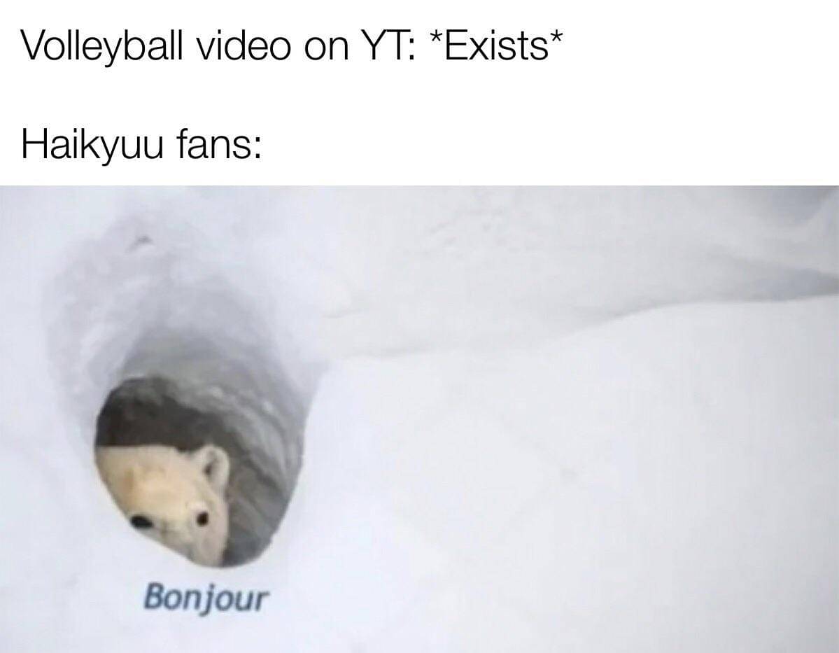meme anime tentang voli