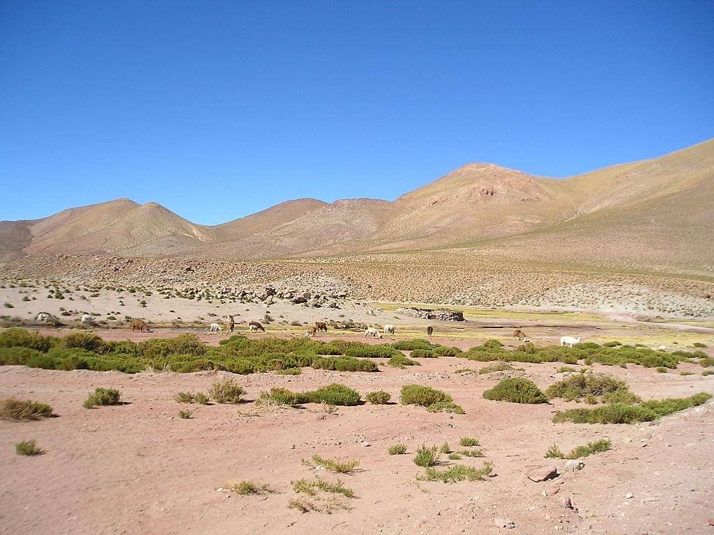 bagaimana desa di Atacama bertahan hidup di tempat paling kering di darat