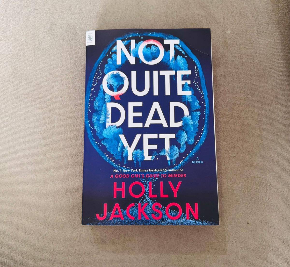 Not Quite Dead Yet karya Holly Jackson