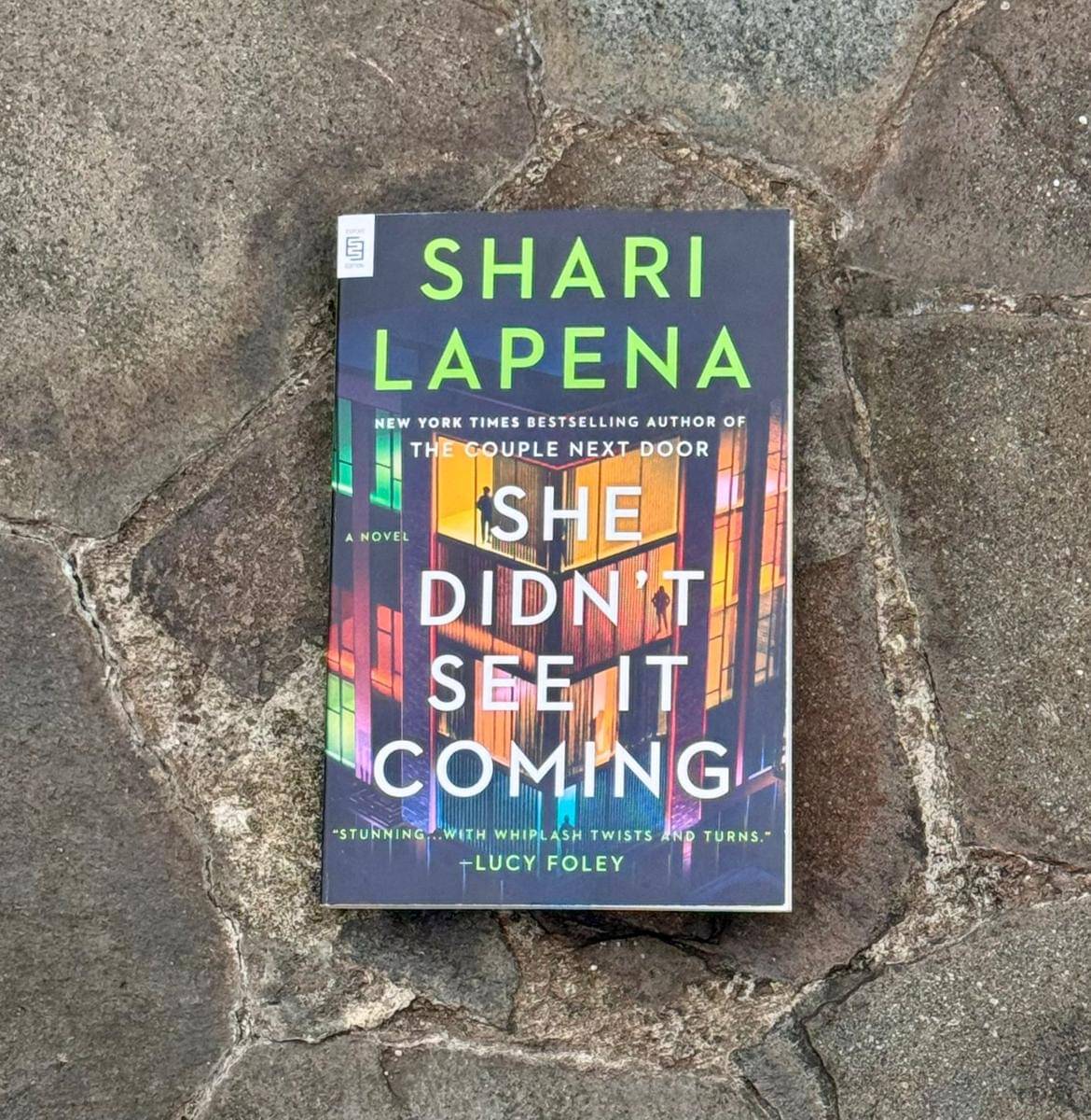 She Didn't See it Coming karya Shari Lapena