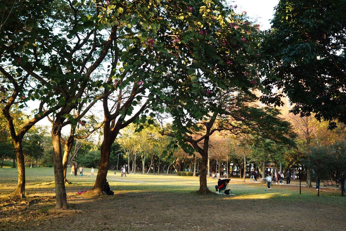 Ilustrasi warga sedang bersantai di taman