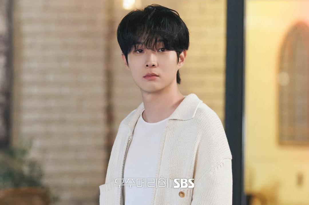 Choi Woo Shik di drama Would You Marry Me