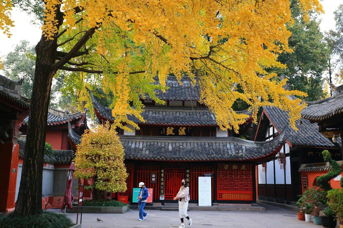 ilustrasi musim gugur di Beijing 