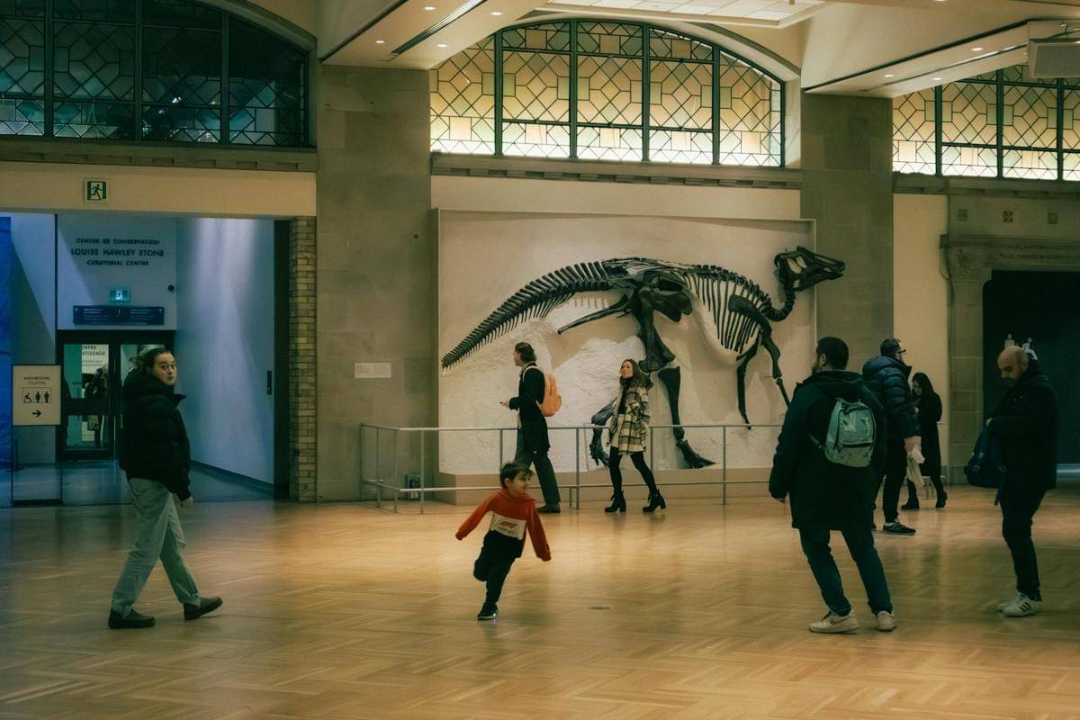 ilustrasi kunjungan ke museum purbakala