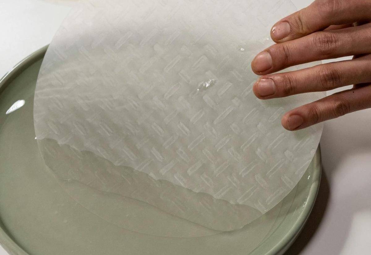ilustrasi rice paper
