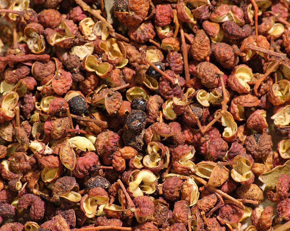 ilustrasi Sichuan peppercorn